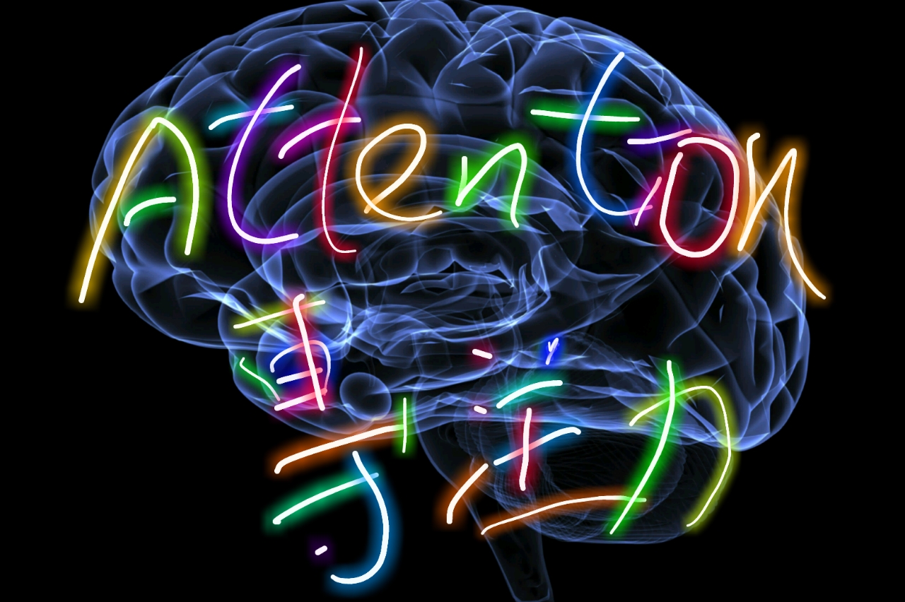 Attention and the Brain