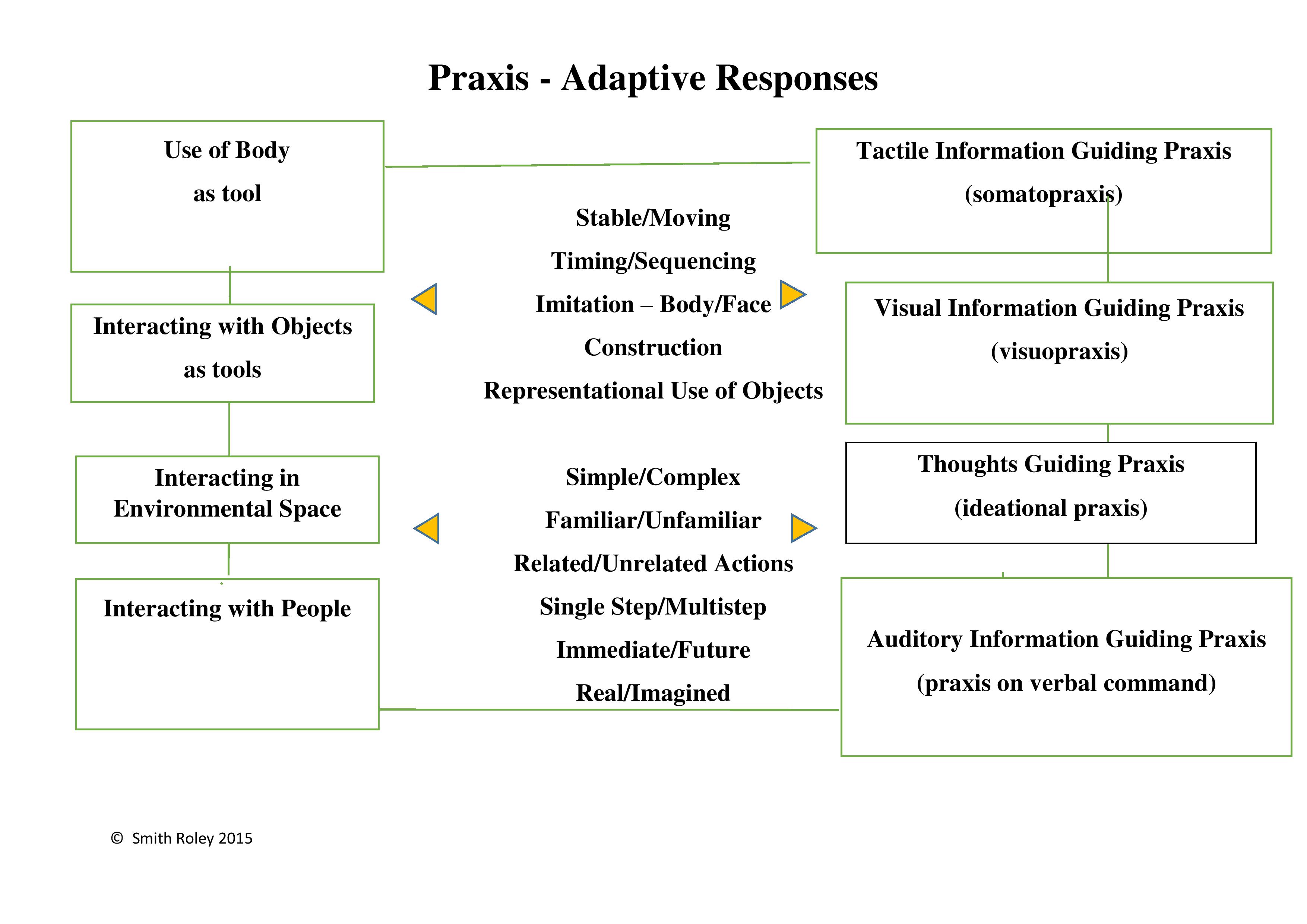 praxis-diagram-page-001